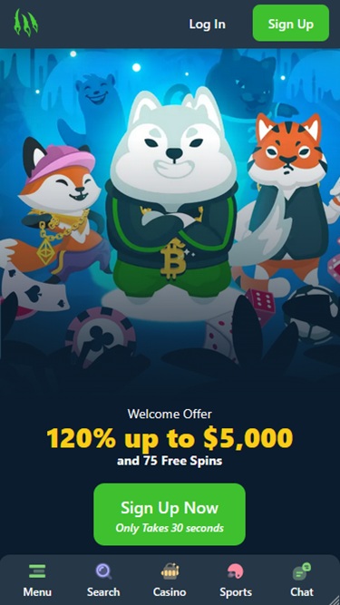 Wild.io - Casino ohne Verifizierung 2026